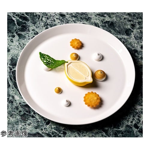 グラマンド 300×175mm ハーフレ