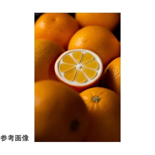 グラマンド 300×175mm ハーフオ