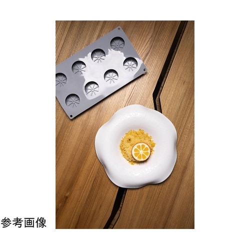 グラマンド 300×175mm ハーフオ