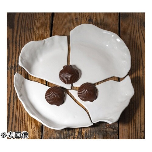 グラマンド 300×200mm スカロッ