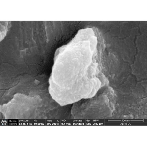 多結晶ダイヤモンド砥粒 0ー2μm JN