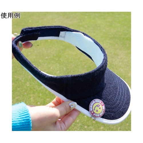 汗吸収パット 抗菌アセステ 1ケース(2