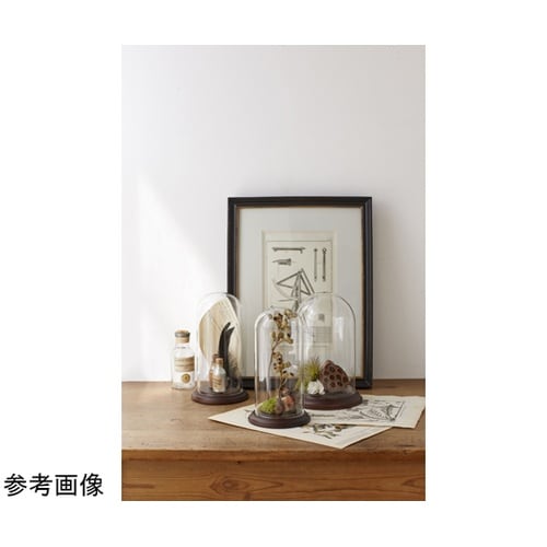 Wood dome stand(ウッドド