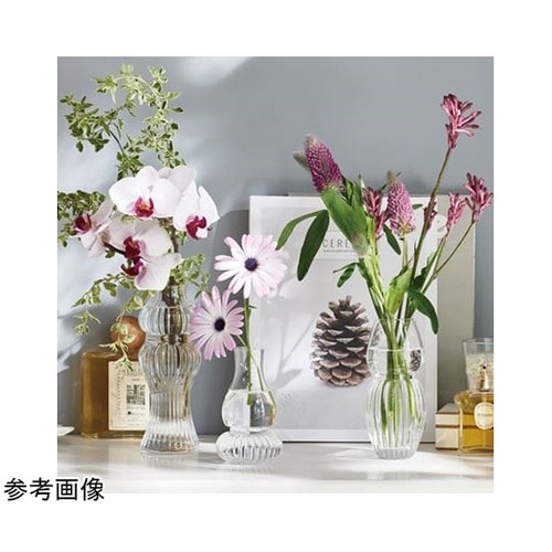 luce(ルーチェ)クリア 6.5φ15