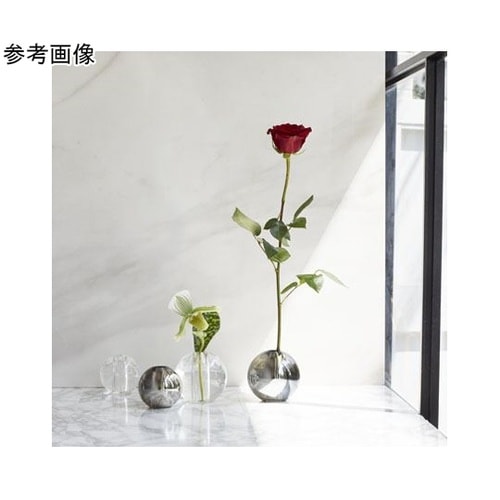 nuova(ノーヴァ)クローム 7.5φ