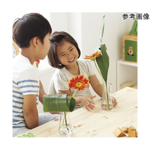 hanaiku かびん クリア 777−