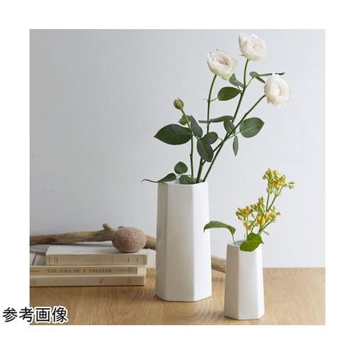 The VASE type D ホワイト