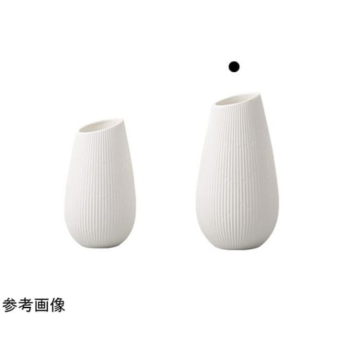 Bien(ビエン)ホワイト 10.5φ2