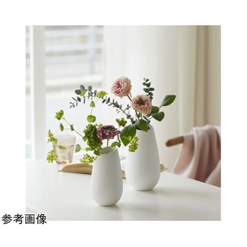 Bien(ビエン)ホワイト 10.5φ2