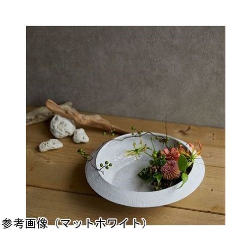 ZARA(ザラ)マットホワイト 30φ8