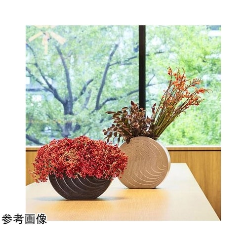 luna(ルーナ)スズ 28L10.5W