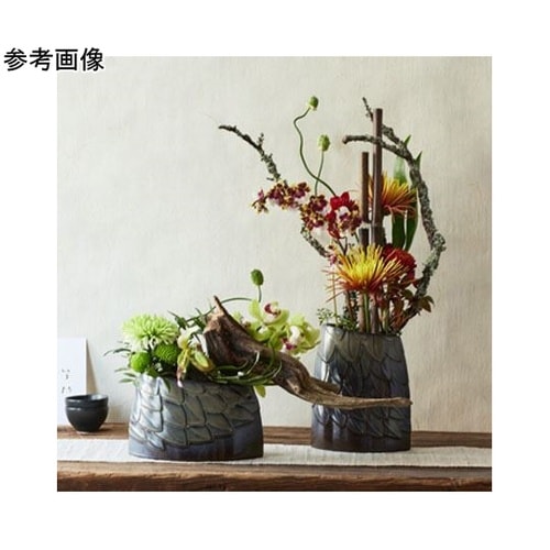 UROKO(ウロコ)クロミドリ 17L1