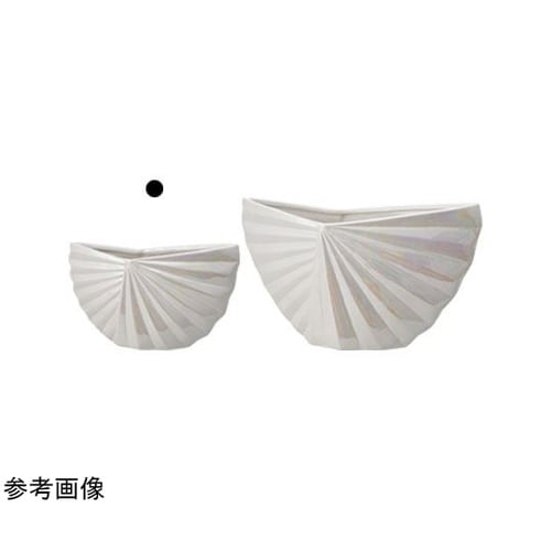 Kuori(クオリ)パールホワイト 24