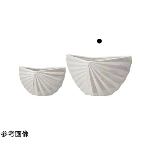 Kuori(クオリ)パールホワイト 35