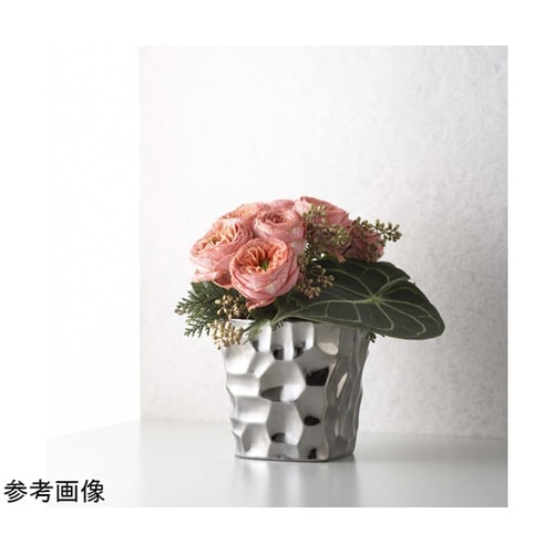 SOLID4(ソリッド4)ブラックメタリ