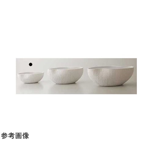 plage(プラージュ)ホワイト 19L