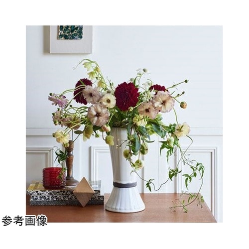 Louise(ルイーズ)アンティークホワ