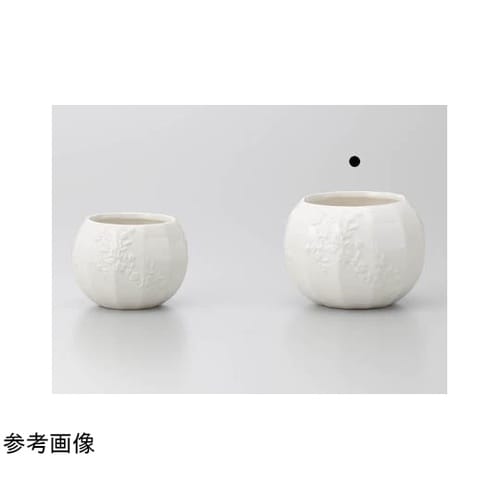 FLOWER LINE 2(フラワーライ