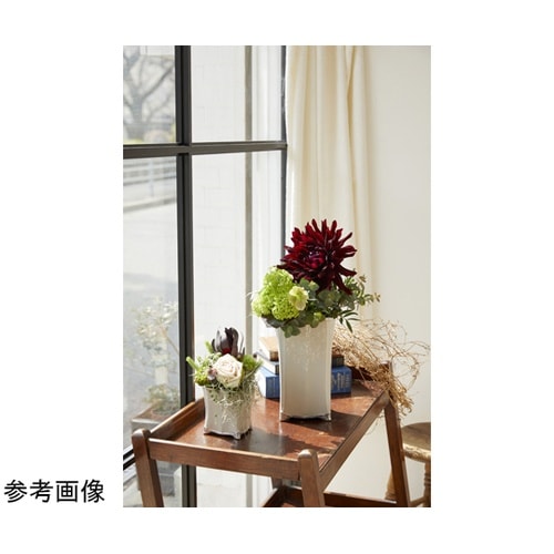 cabriolet(カブリオレ)LIGH