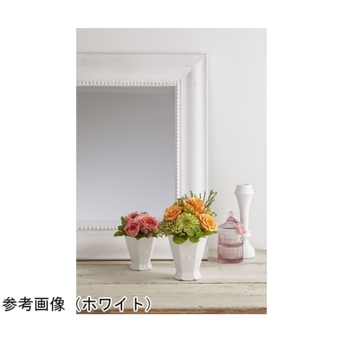 paralume(パラリューム)レッドD