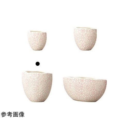 Fine(フィーネ)ピンク 12.5L7