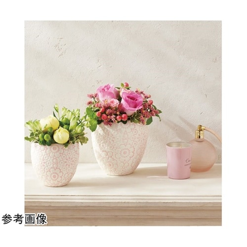 Fine(フィーネ)ピンク 12.5L7