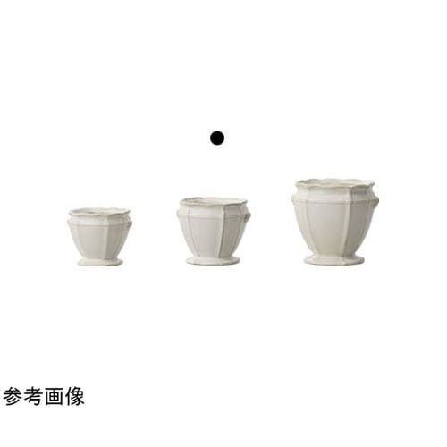 le coeur(ル クール)アイボリー