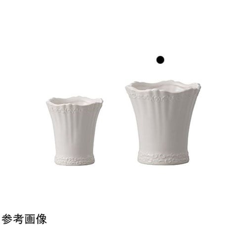 Femi Anthology(フェミ ア