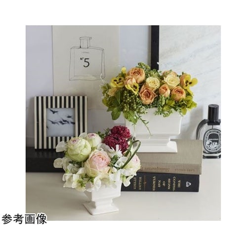 Ordine(オルディネ)ホワイト 7.