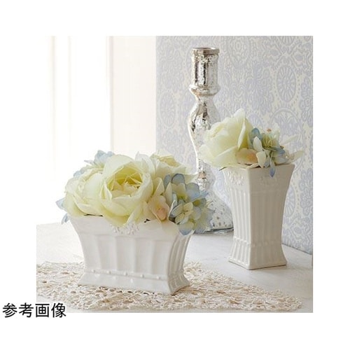 Petit blanc(プティブラン)ホ