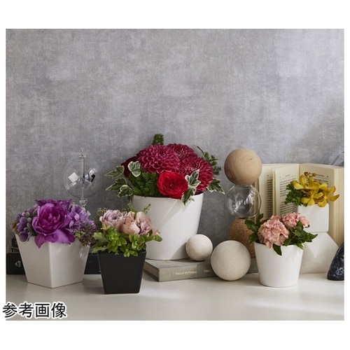 COLOR VASECUBE(カラーベー