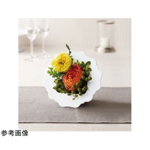 Bianca(ビアンカ)ホワイト 15.