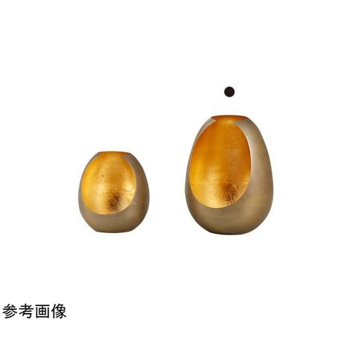 amical(アミカル)ゴールド 13.