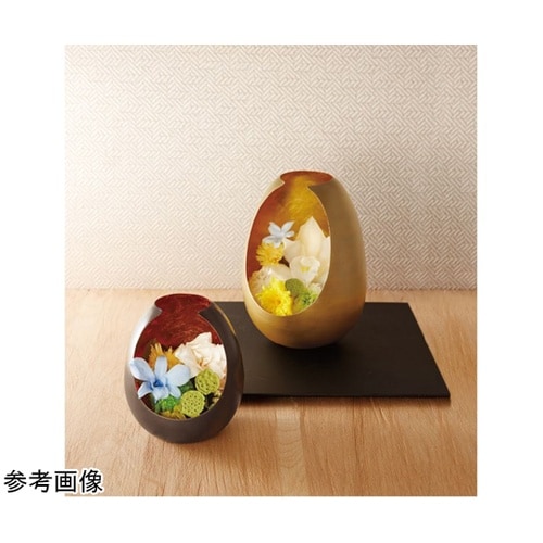 amical(アミカル)ゴールド 13.