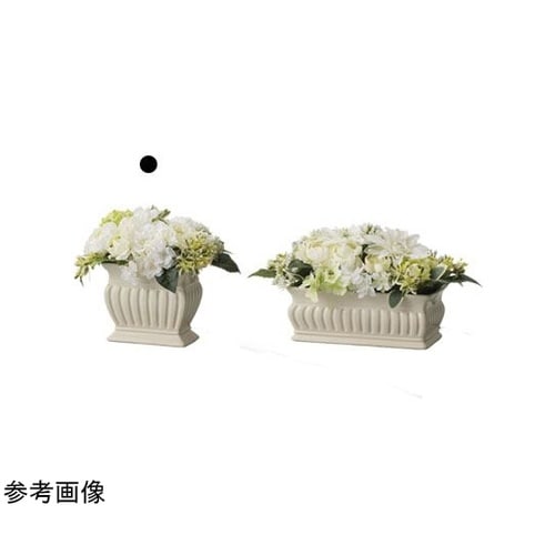 Fleur de gratitude(フ