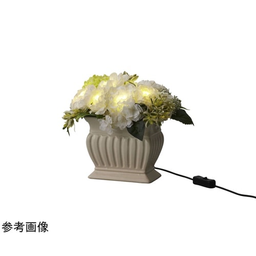 Fleur de gratitude(フ