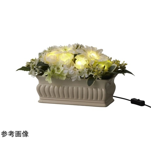 Fleur de gratitude(フ