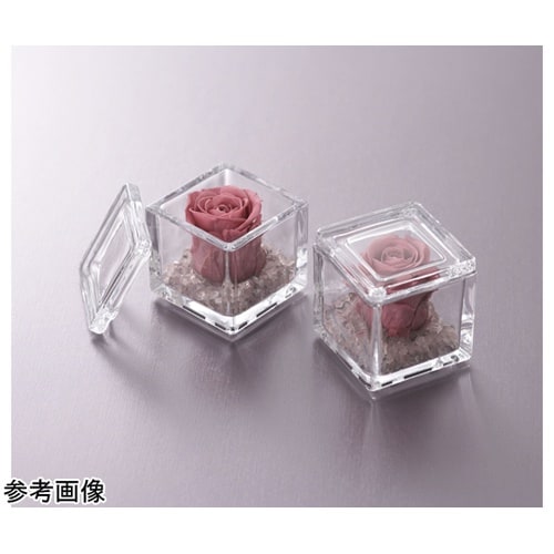 QBrick(キューブリック)クリア 7