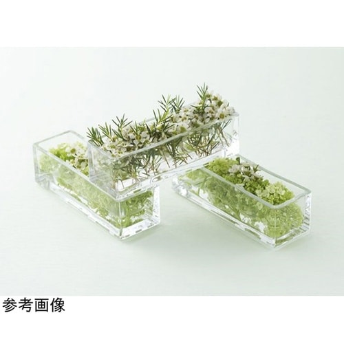 QBrick×3(キューブリック)クリア