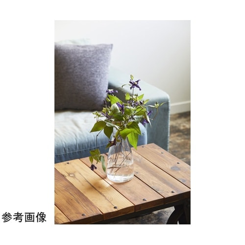 PC carafe(PCカラフェ)クリア