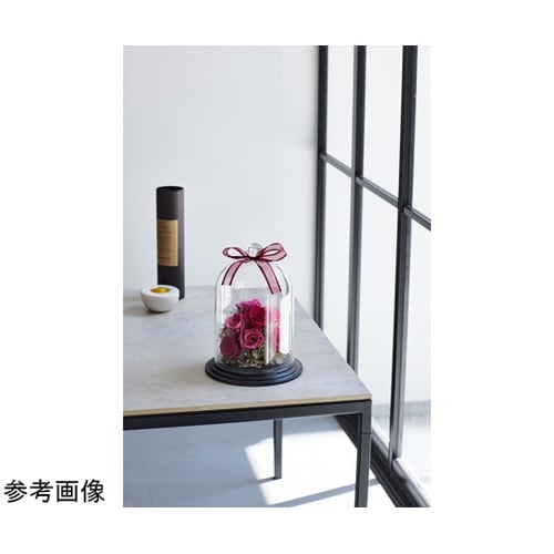 PC Cloche(PCクロッシュ)クリ