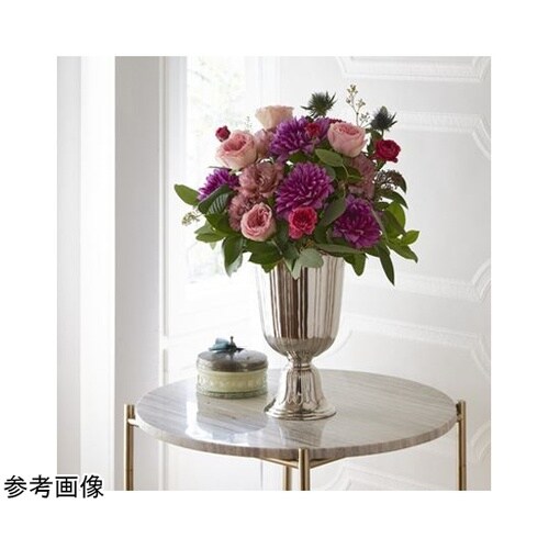 Aluminum Vianca(アルミニ