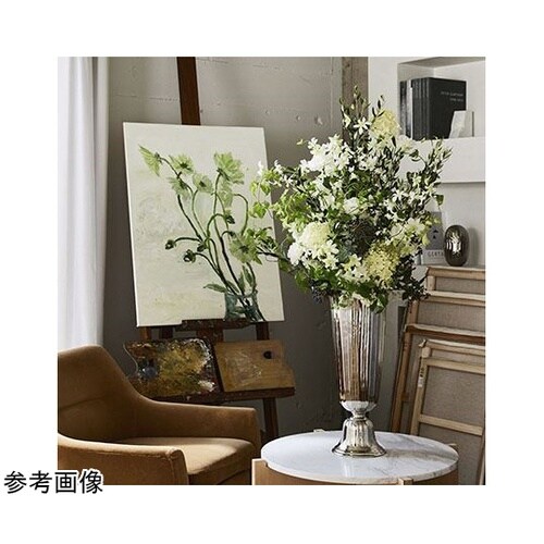 Aluminum Vianca(アルミニ