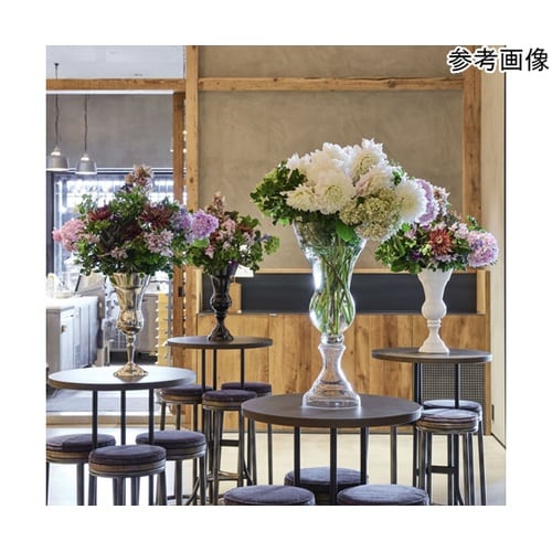 GOLDEN RATIO BR/T(ゴー