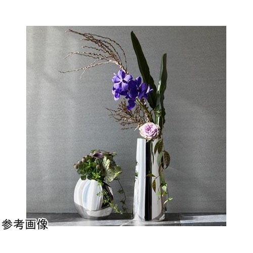 Stainless Segel(ステンレ