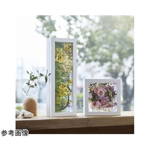 herbier(エルビエ)ホワイト 14