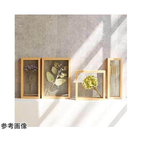 herbier(エルビエ)ナチュラル 1