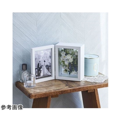 herbier Photo box(エル