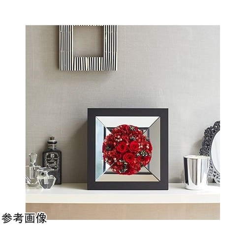 Mirror box frame(ミラー