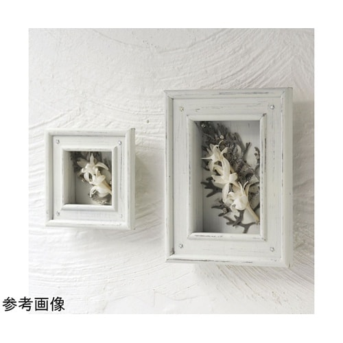 wood frame white(ウッド